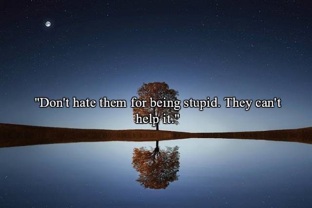 lonely tree - "Don't hate them for being stupid. They can't help it."