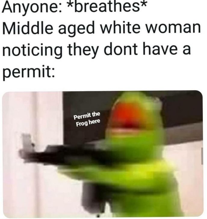meme about whitest whites meme - Anyone breathes Middle aged white woman noticing they dont have a permit Permit the Frog here