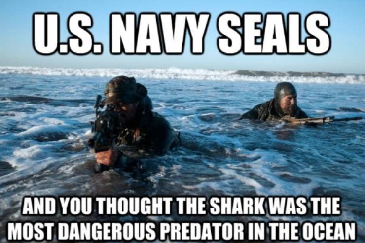 navy seal ocean - U.S. Navy Seals And You Thought The Shark Was The Most Dangerous Predator In The Ocean