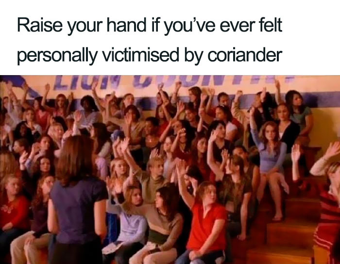 Coriander (Cilantro) Haters Club And Their 50 Funniest Memes