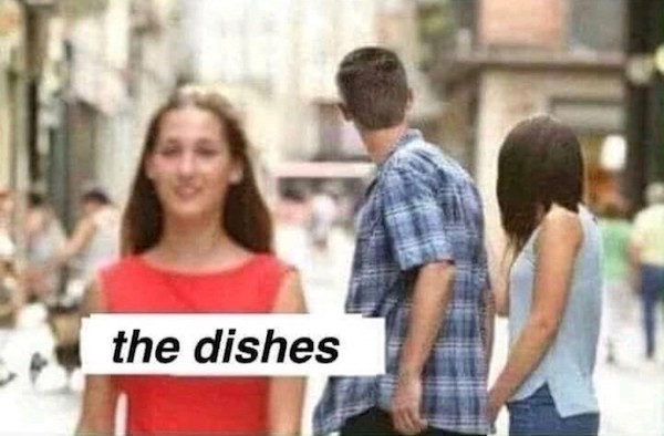 succulent chinese meal meme - the dishes