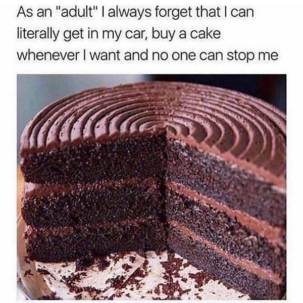adult buy cake meme - As an "adult" I always forget that I can literally get in my car, buy a cake whenever I want and no one can stop me
