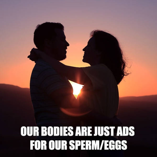 love - Our Bodies Are Just Ads For Our SpermEggs