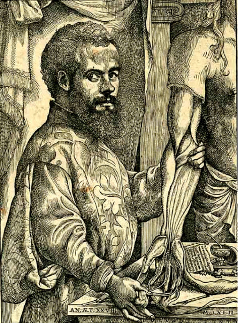 andreas vesalius important