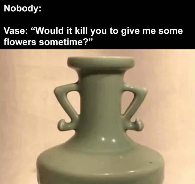 vase meme - Nobody Vase Would it kill you to give me some flowers sometime?"