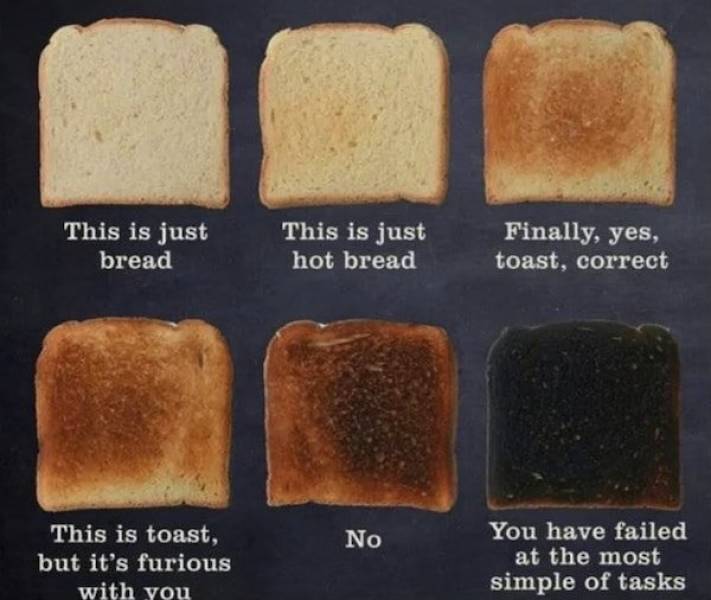 toast meme - This is just bread This is just hot bread Finally, yes, toast, correct No This is toast, but it's furious with you You have failed at the most simple of tasks
