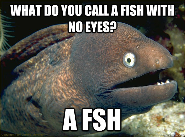 bad joke eel - What Do You Call A Fish With No Eyes? A Fsh Copyright 1997 emoy erode quickmeme.com