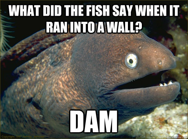 campo carlo magno - What Did The Fish Say When It Ran Into A Wall? Dam Copyright 1997edy ford Quickmeme.com