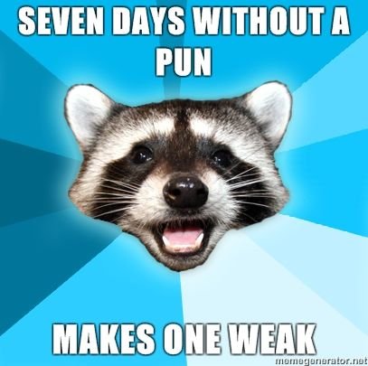 lame pun coon - Seven Days Without A Pun Makes One Weak momogenerator.no