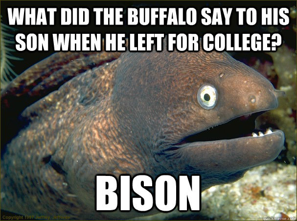 bad joke eel - What Did The Buffalo Say To His Son When He Left For College? Bison Copyright 1997 emoy erford Quickmeme.com