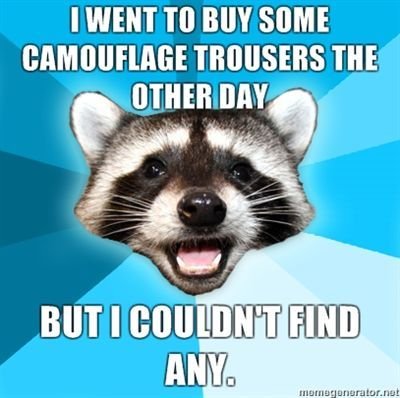 lame pun coon - I Went To Buy Some Camouflage Trousers The Other Day But I Couldn'T Find Any. momsgenerator.net
