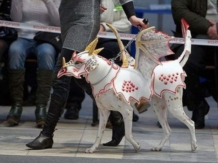 The MOST AMAZING Dog and Cat Costumes for 2012!
