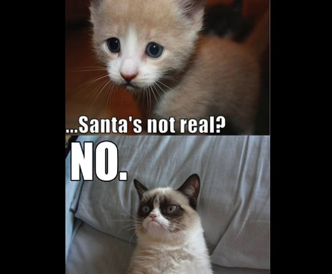 Grumpy Cat meme zombie twd - ...Santa's not real?