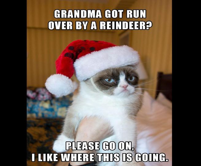 Grumpy Cat merry kissmyass - Grandma Got Run Over By A Reindeer? Please Go On I Where This Is Going.