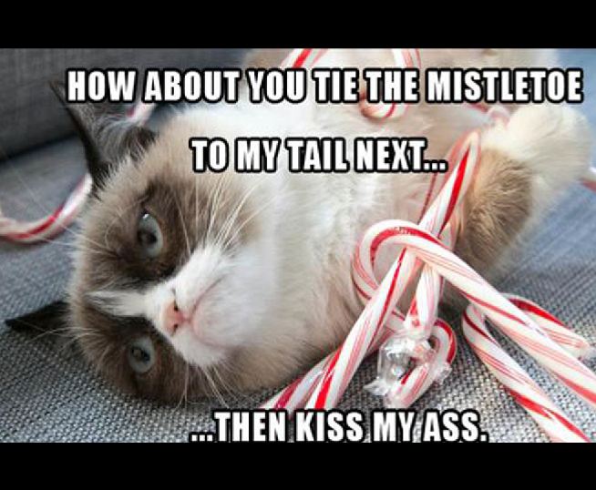 Grumpy Cat holiday grumpy cat - How About You Tie The Mistletoe To My Tail Next. Then Kiss My Ass.