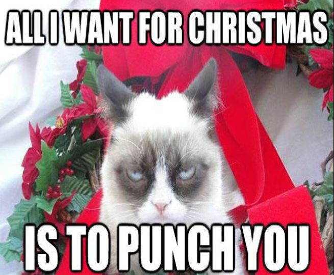Grumpy Cat merry christmas funny - Allowant For Christmas Is To Punch You
