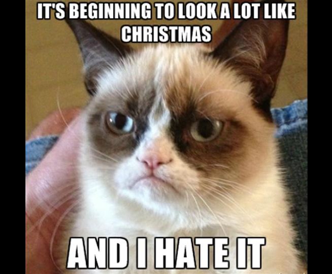 Grumpy Cat grumpy cat memes - It'S Beginning To Look A Lot Christmas And I Hate It