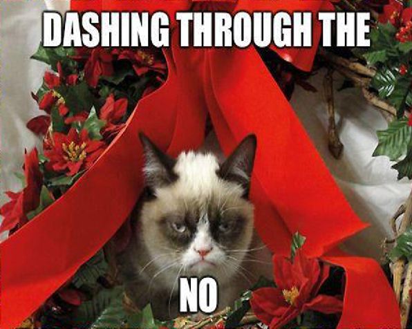 Grumpy Cat funny holiday - Dashing Through The No