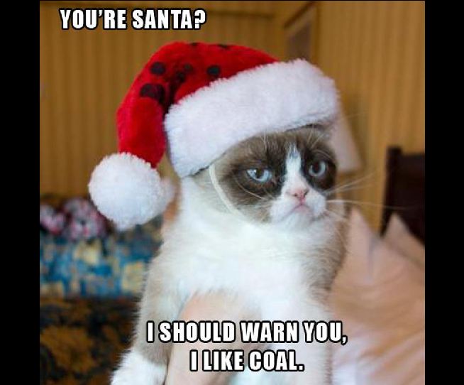 Grumpy Cat grumpy cat christmas quotes - You'Re Santa? I Should Warn You, I Coal.