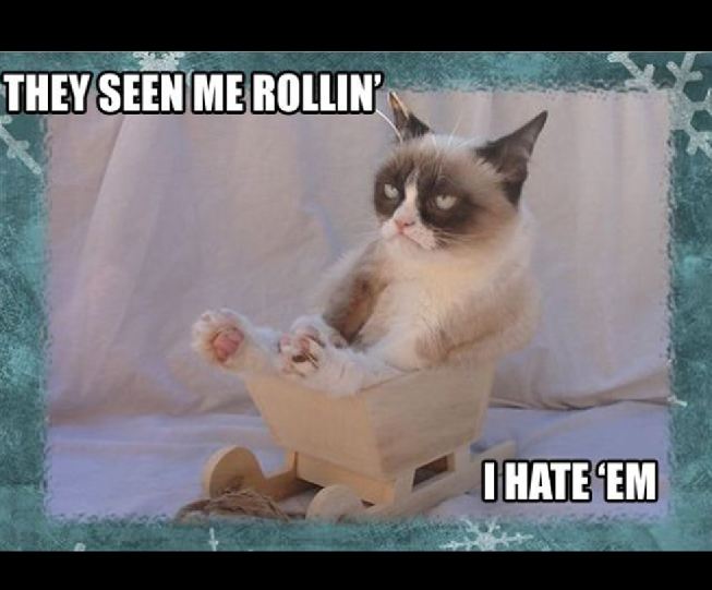 Grumpy Cat grumpy cat christmas meme - They Seen Me Rollin' I Hate Em