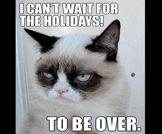 Grumpy Cat photo caption - I Can'T Wait For The Holidays! To Be Over.