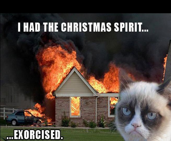 Grumpy Cat let the dogs out grumpy cat - I Had The Christmas Spirit... ...Exorcised.