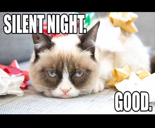 Grumpy Cat grumpy cat christmas - Silent Night Good
