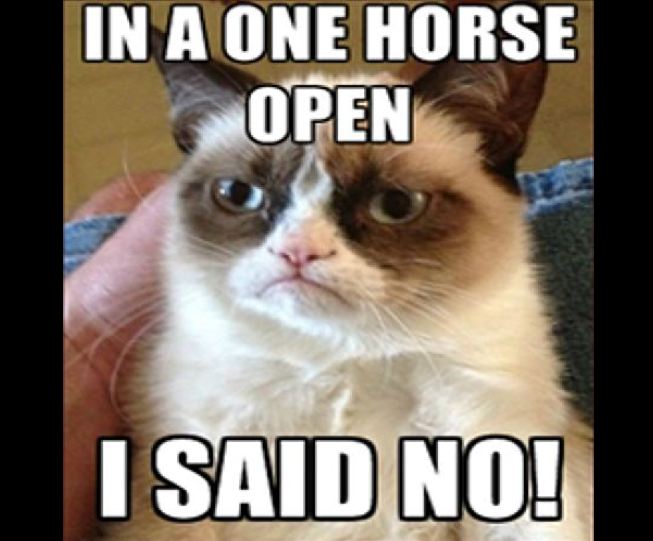 Grumpy Cat photo caption - In A One Horse Open I Said No!
