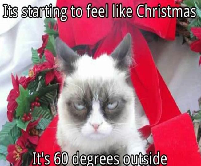 Grumpy Cat don t like christmas - its starting to feel Christmas It's 60 degrees outside