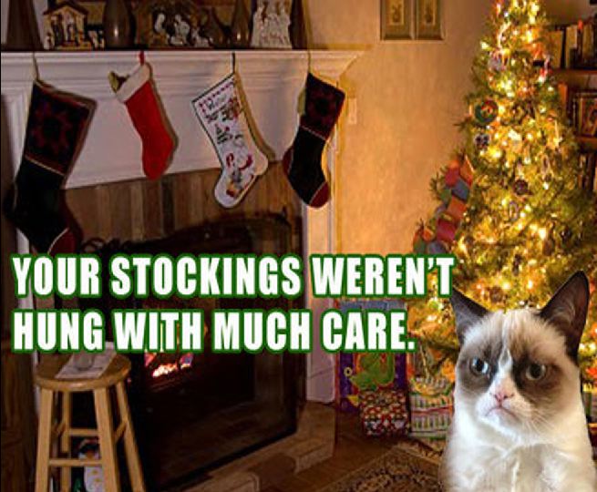 Grumpy Cat - Your Stockings Weren'T Hung With Much Care.