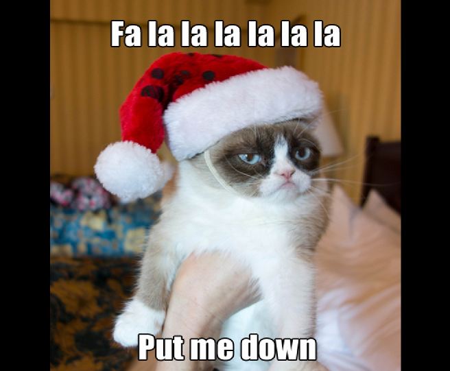 Grumpy Cat grumpy cat christmas quotes