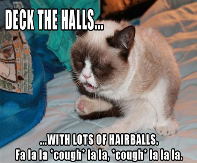 Grumpy Cat grumpy cat deck the halls - Deck The Halls. ...With Lots Of Hairballs. fa la la cough la la, cough la la la.