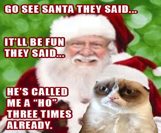 Grumpy Cat merry christmas grumpy cat - Go See Santa They Said... It'Ll Be Fun They Said... He'S Called Me A Ho Three Times Already.