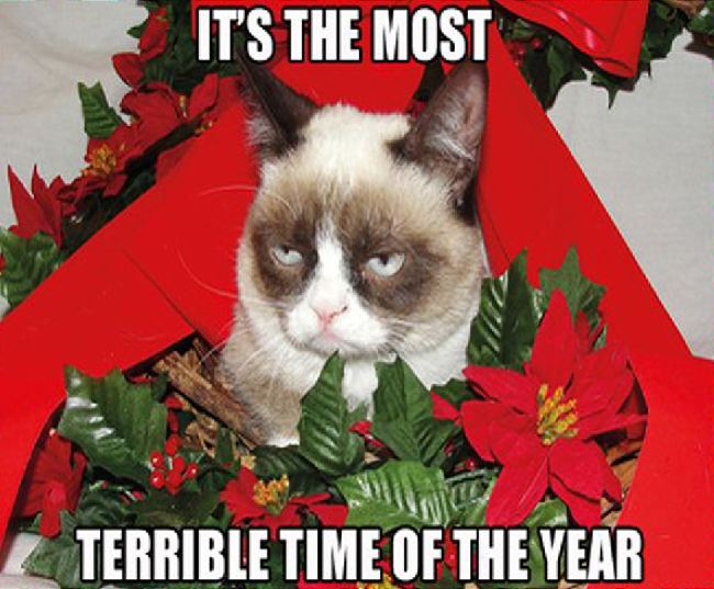 Grumpy Cat merry christmas grumpy cat - It'S The Most Terrible Time Of The Year