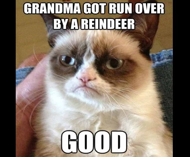 Grumpy Cat happy birthday animal memes - Grandma Got Run Over By A Reindeer Good
