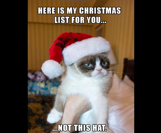 Grumpy Cat grumpy cat christmas quotes - Here Is My Christmas List For You... ...Not This Hat.