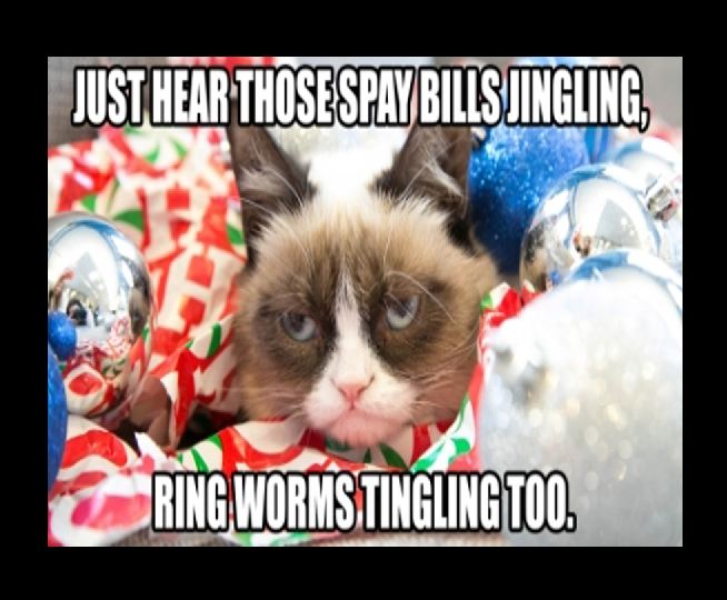 Grumpy Cat photo caption - Just Hear Thosespay Bilsjingling Ring Worms.Tingling Too