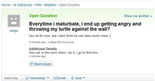 But I like turtles.