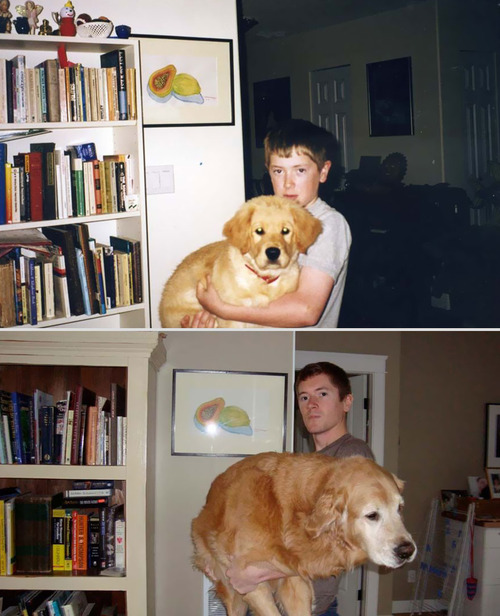 Before and After Animals Growing Up