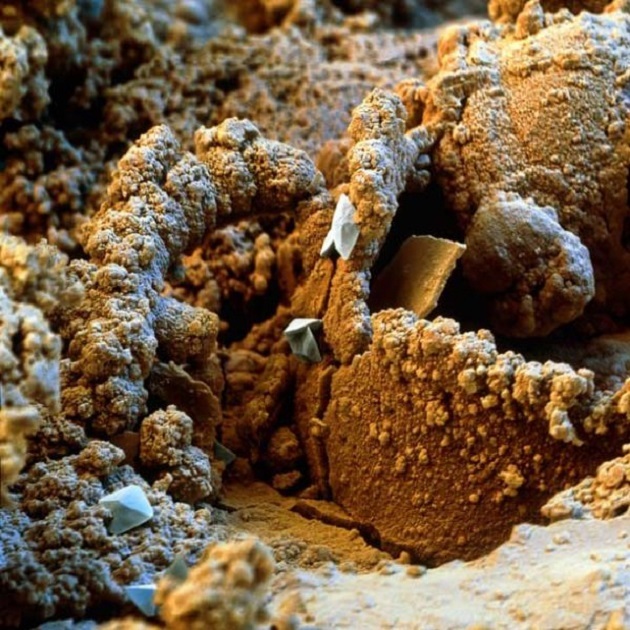 The corroded surface of a rusty metal nail