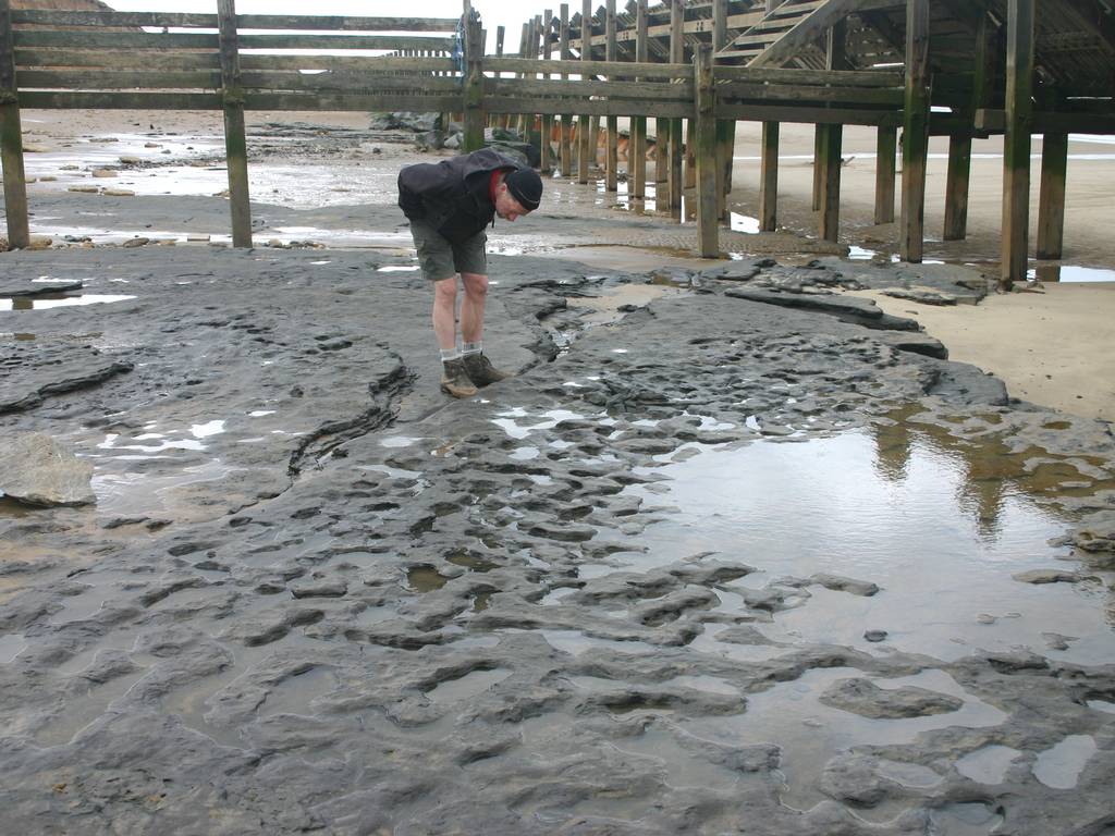 Million-year-old human footprints, discovered in February 2014Photograph of the footprint hollows in situ on the beach as Happisburgh, Norfolk