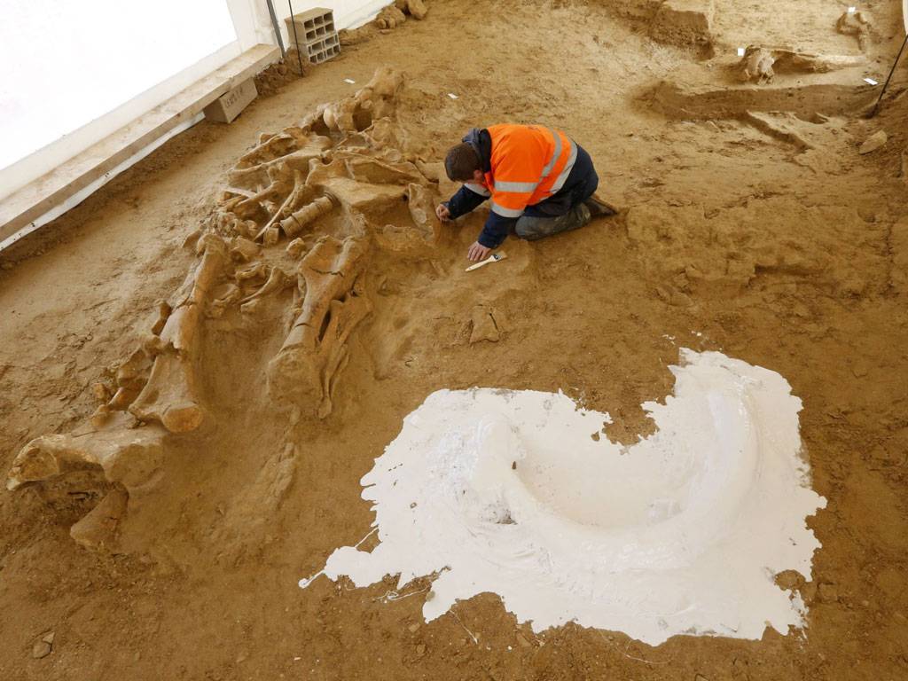 Complete mammoth skeleton, discovered in November 2012The first complete mammoth skeleton to be found in France for more than a century was uncovered in a gravel pit on the banks of the Marne, 30 miles north-east of Paris. Picture shows experts at work making a silicon cast of the mammoth's tusk