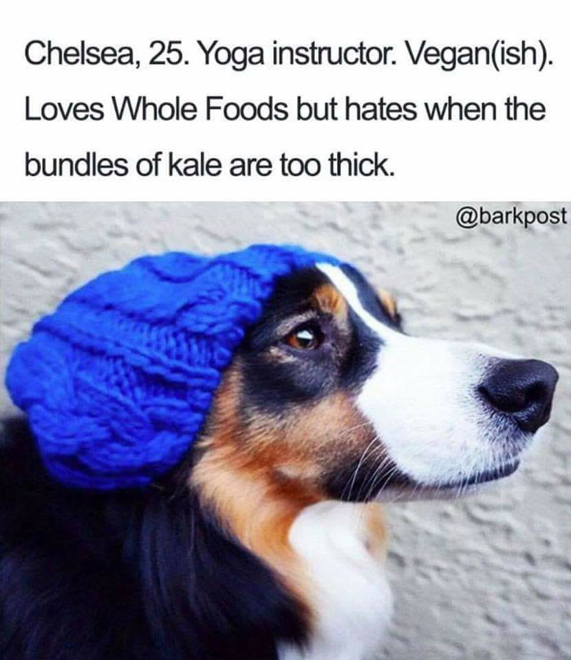 Funny Dog Meme about a dog that looks like a woman that likes kale and Wholefoods
