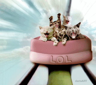 cats on a roller coaster - Lol Art