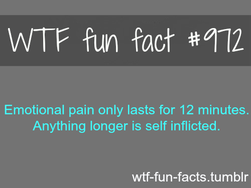 w.t.f facts 2!!!