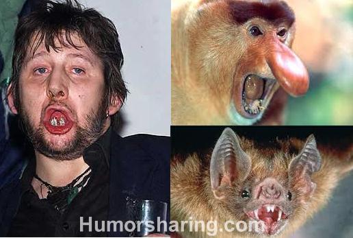 Ugliest Celebrities who Look like Animals