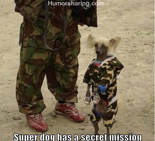 Funny army pictures