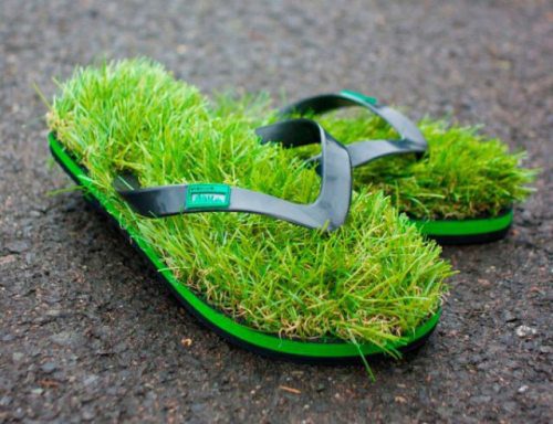 what guys want shoes with grass