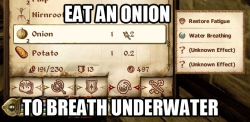 elder scrolls oblivion memes - MirnrooEATAN Onion Restore Fatigue Onion 12 Water Breathing Potato 1 0.2 ? Unknown Effect ? Unknown Effect 191230 013 497 To Breathunderwater