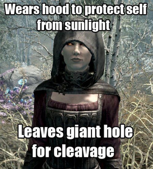 video game logic armor - Wears hood to protect self from sunlight Leaves giant hole for cleavage